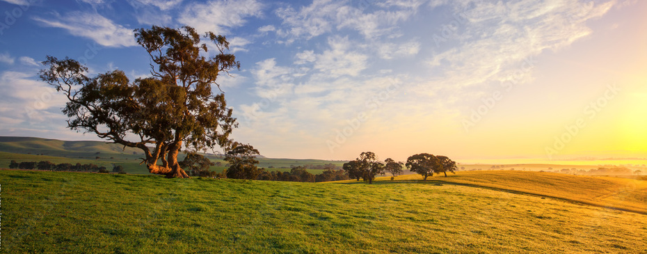 A warm sunset spreads across open paddocks and bushland, creating a classic rural Australian scene.